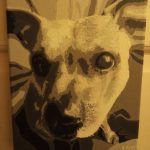 Profile picture of Phil